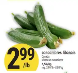 Marché Adonis CONCOMBRES LIBANAIS | LEBANESE CUCUMBERS offer