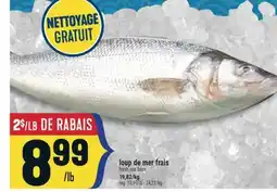 Marché Adonis LOUP DE MER FRAIS | FRESH SEA BASS offer