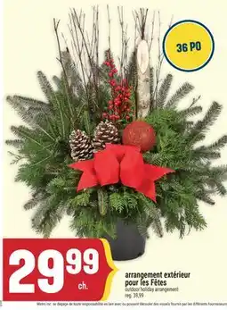 Marché Adonis ARRANGEMENT EXTÉRIEUR POUR LES FÊTES | OUTDOOR HOLIDAY ARRANGEMENT offer