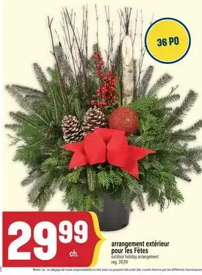 Marché Adonis ARRANGEMENT EXTÉRIEUR POUR LES FÊTES | OUTDOOR HOLIDAY ARRANGEMENT offer