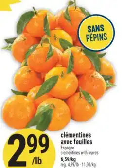 Marché Adonis CLÉMENTINES AVEC FEUILLES | CLEMENTINES WITH LEAVES offer