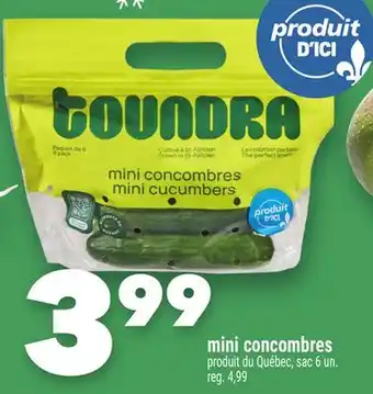 Marche Ami MINI CONCOMBRES offer