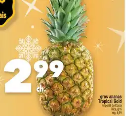 Marche Ami GROS ANANAS TROPICAL GOLD offer