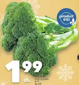 Marche Ami BROCOLI offer