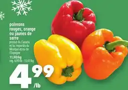 Marche Ami POIVRONS ROUGES, ORANGE OU JAUNES DE SERRE offer