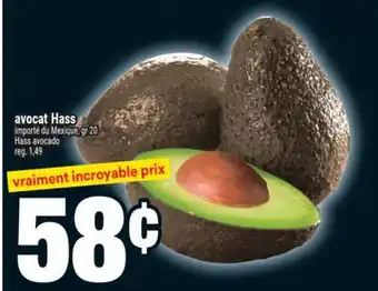 Super C Avocat Hass | Hass avocado offer
