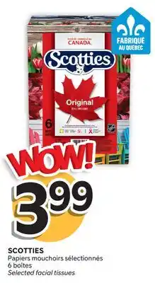 Brunet SCOTTIES Papiers mouchoirs sélectionnés offer