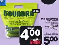 Marches Tradition SEEDLESS MINI CUCUMBERS offer