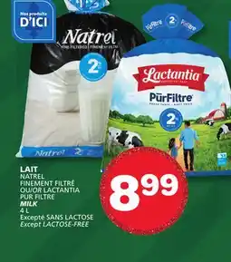 Marches Tradition MILK offer