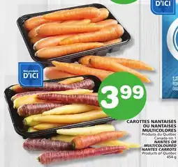 Marches Tradition NANTES OR MULTICOLOURED NANTES CARROTS offer