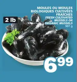 Marches Tradition FRESH CULTIVATED MUSSELS OR MUSSELS offer