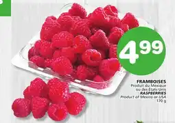 Marches Tradition RASPBERRIES offer