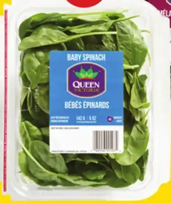 Giant Tiger Jeunes épinards ou mélange printanier, 5 oz offer