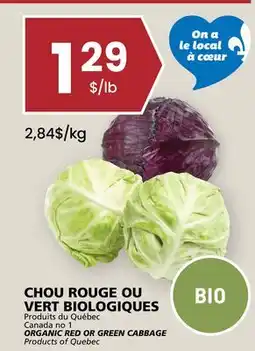 Rachelle-Bery Grocery ORGANIC RED OR GREEN CABBAGE offer