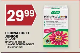 Rachelle-Bery Grocery A. VOGEL JUNIOR ECHINAFORCE offer