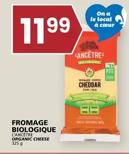 Rachelle-Bery Grocery L'ANCÊTRE ORGANIC CHEESE offer
