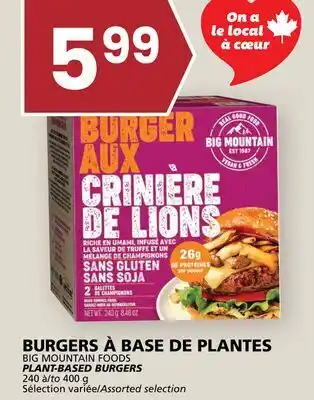 Rachelle-Bery Grocery BIG MOUNTAIN FOODS PLANT-BASED BURGERS offer
