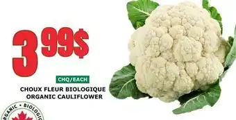 Marches Tau CHOUX FLEUR BIOLOGIQUE offer