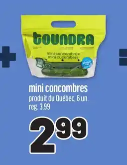 Metro TOUNDRA MINI CONCOMBRES offer