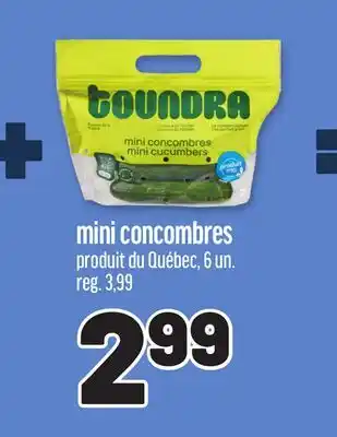 Metro TOUNDRA MINI CONCOMBRES offer
