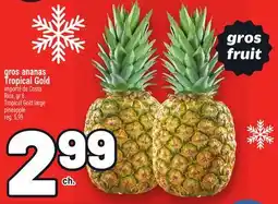 Metro GROS ANANAS TROPICAL GOLD | TROPICAL GOLD LARGE PINEAPPLE offer