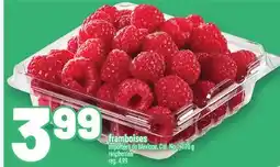 Metro FRAMBOISES | RASPBERRIES offer