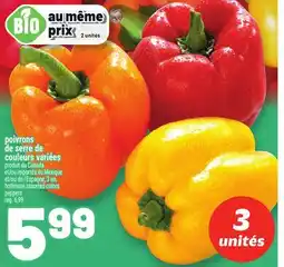 Metro POIVRONS DE SERRE DE COULEURS VARIÉES | HOTHOUSE ASSORTED COLORS PEPPERS offer