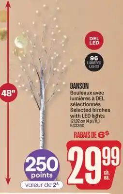 Jean Coutu DANSON Selected birches with LED lights offer