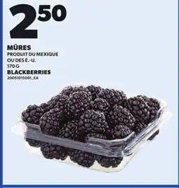 Provigo BLACKBERRIES, 170 G offer