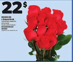 Provigo ECUADORIAN ROSES, DOUZAINE offer