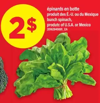 Maxi ÉPINARDS EN BOTTE | bunch spinach offer