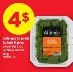 Maxi MÉLANGES DE SALADE ATTITUDE FRAÎCHE, 142 G offer