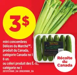 Maxi MINI CONCOMBRES DÉLICES MARCHÉ, 6 UN offer