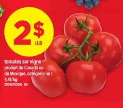 Maxi TOMATES SUR VIGNE offer
