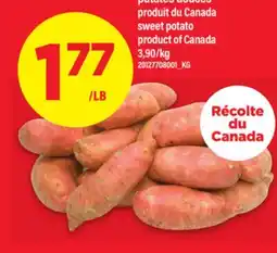 Maxi PATATES DOUCES | SWEET POTATO offer