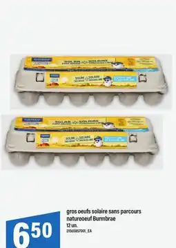 Maxi GROS OEUFS SOLAIRE SANS PARCOURS NATUREOEUF BURMBRAE, 12 UN offer