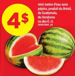 Maxi MINI MELON D'EAU SANS PÉPINS, DU GUATEMALA offer