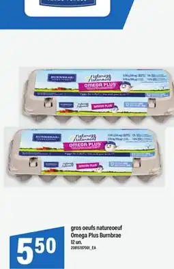 Maxi GROS OEUFS NATUREOEUF OMEGA PLUS BURNBRAE, 12 un offer