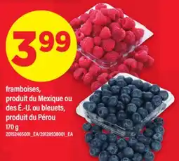 Maxi FRAMBOISES OU BLEUETS, 170 G offer