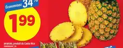 Maxi ANANAS offer