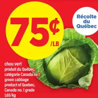 Maxi chou vert | green cabbage offer