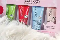 Brunet TEAOLOGY offer