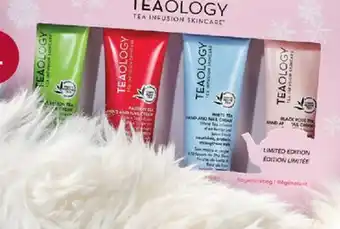 Brunet TEAOLOGY offer