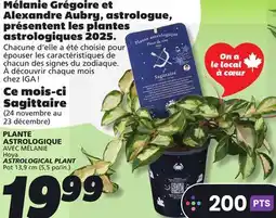IGA Hoya ASTROLOGICAL PLANT offer