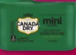 IGA CANADA DRY offer