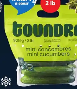 IGA SEEDLESS MINI CUCUMBERS offer