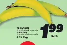 IGA PLANTAIN offer