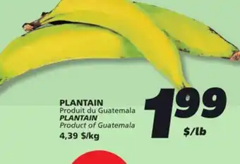 IGA PLANTAIN offer