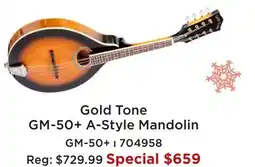 Long & McQuade GOLD TONE GM-50 + A-STYLE MANDOLIN offer