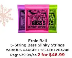 Long & McQuade ERNIE BALL 5-STRING BASS SLINKY STRINGS offer